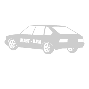    -  AZLK-Team -   93 .