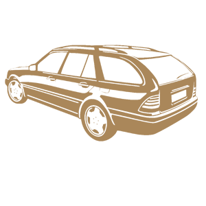    -  Mercedes -   100 .