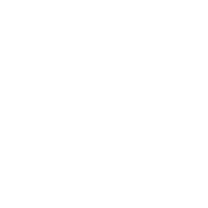  Monster Energy