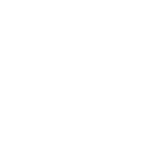       ,   -   151 .