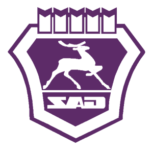       GAZ -   84 .