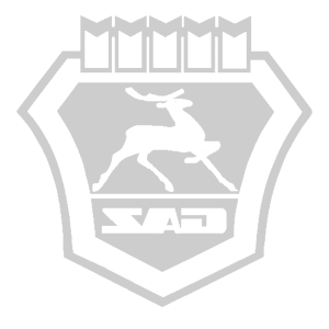    -   GAZ -   84 .