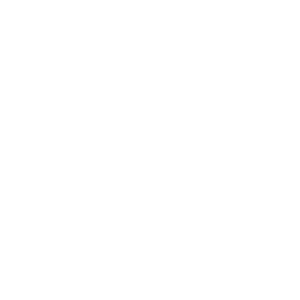   4x4 -   141 .