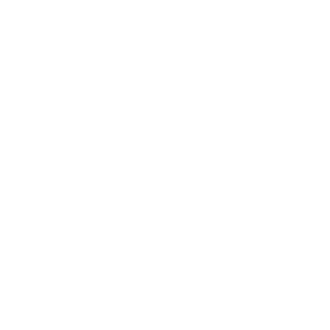      4x4 -   141 .