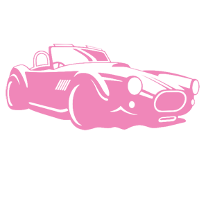      Auto Cobra -   105 .