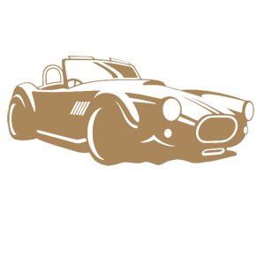    -  Auto Cobra -   105 .