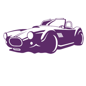  Auto Cobra