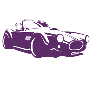      Auto Cobra -   105 .