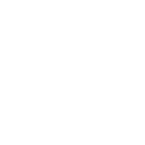      Auto Cobra -   105 .