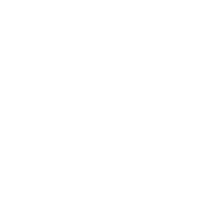      Kitty   -   141 .
