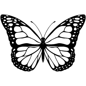       -   176 .