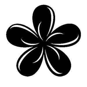       -   81 .