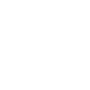        -   131 .