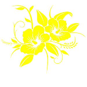       -   216 .