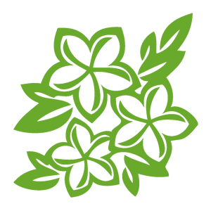 ����������� �� ����������� ������-������� �������� ������� - ������ �� 133 ���.