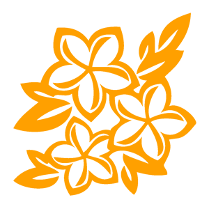 ����������� �� ����������� ��������� �������� ������� - ������ �� 133 ���.