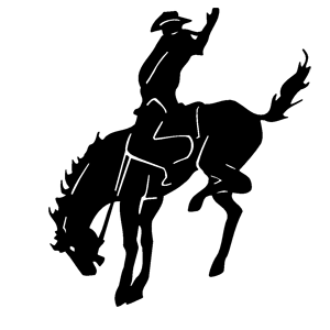       -   151 .