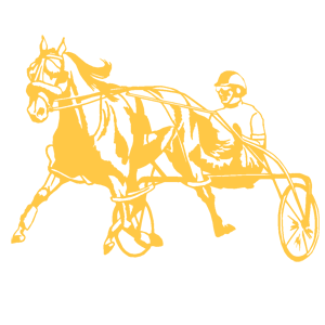         -   151 .