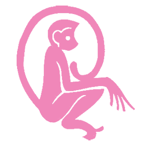       -   81 .