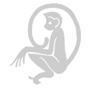    -   81 .