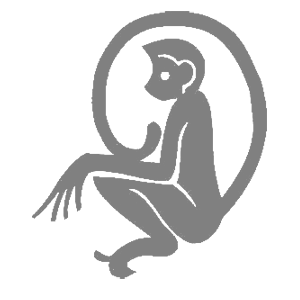   -   81 .