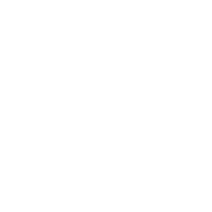  Passat VW