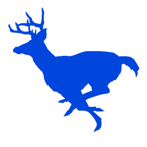        -   127 .