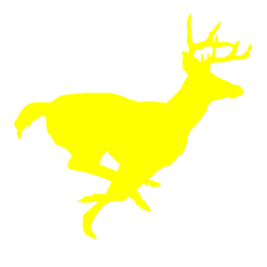     -   127 .