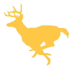        -   127 .