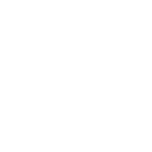   » -   133 .