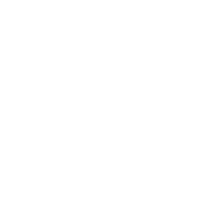      Witcher wolf -   133 .