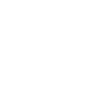     4x4 Off Road -   88 .