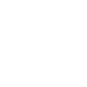      4x4 -   88 .