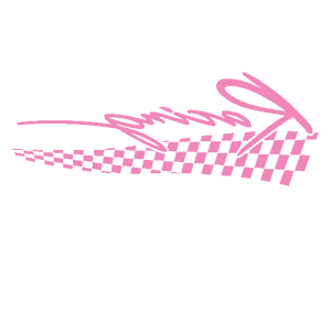      Racing -   99 .