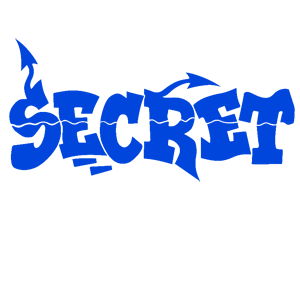  Secret