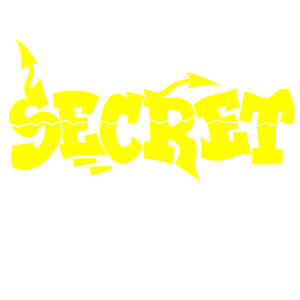  Secret