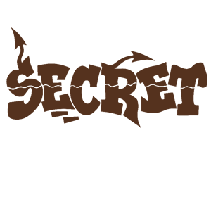  Secret