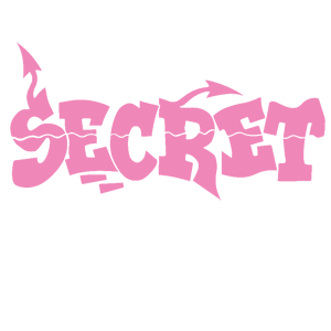  Secret