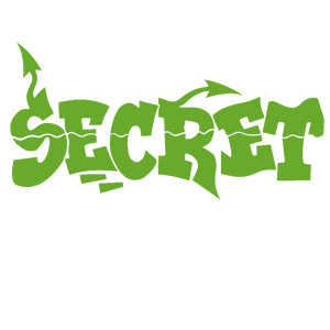  Secret