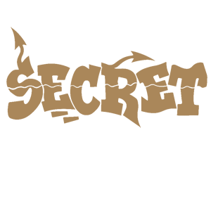  Secret