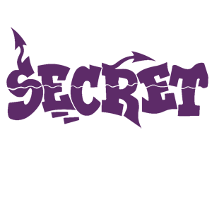  Secret