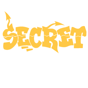  Secret