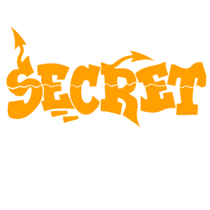  Secret