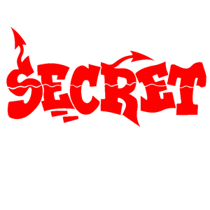  Secret