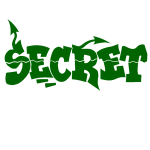  Secret