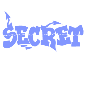  Secret