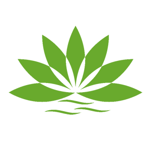 ����������� �� ����������� ������-������� �������� ������� ������ - ������ �� 110 ���.