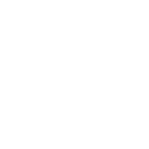       -   110 .