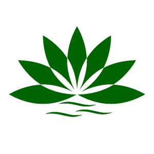 ����������� �� ����������� ������� �������� ������� ������ - ������ �� 110 ���.