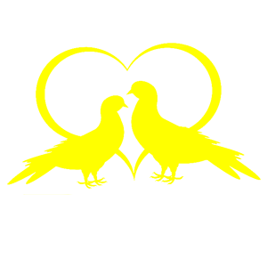         -   119 .